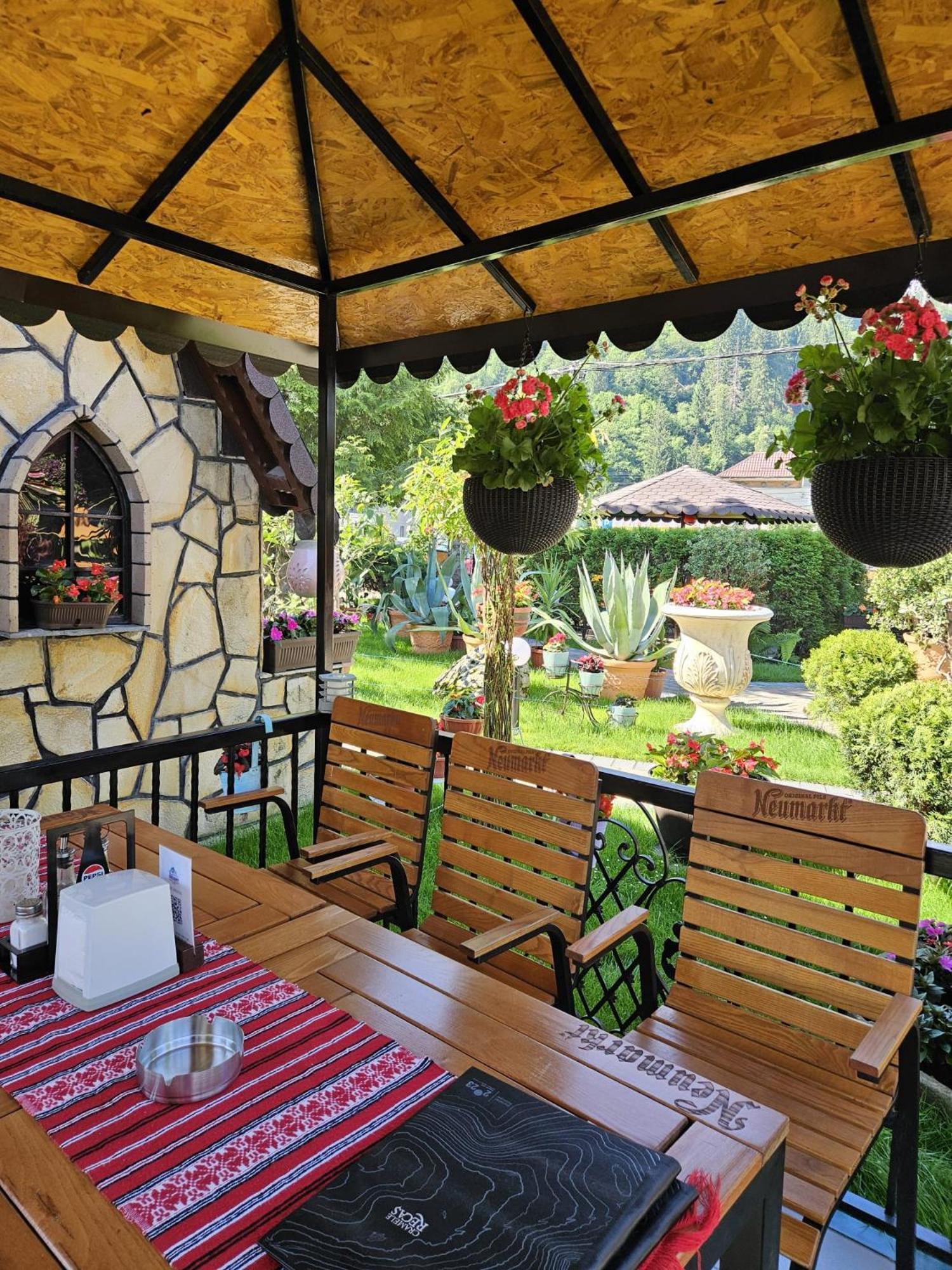 Pensiunea Orizont Farcasa Ngoại thất bức ảnh